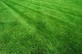 At soulliere landscaping in st clair shores, mi, we have everything you will need for your garden, from the tools to build and maintain it to hundreds of. Services Michigreen Landscape