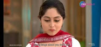 Neel and Megh's marital problems in Zee World drama