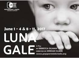 Little known Lansing stories from the Civil War