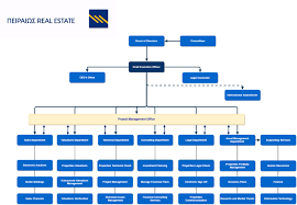 organization chart piraeus real estate