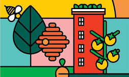 Homegrown Mississauga Summer Season Garden Care Workshop