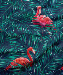 tropical flamingo phone wallpapers