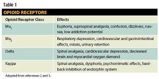 An Overview Of Opioids