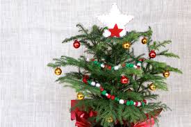 Check spelling or type a new query. O Mini Christmas Tree
