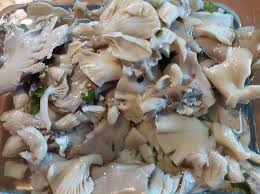Check spelling or type a new query. Funghi Pleurotus Sott Olio Casareccio E Bello
