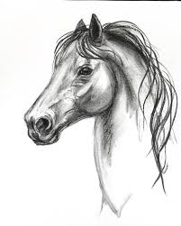 Original Horse Charcoal Drawing Etsy In 2021 Charcoal Drawing Animals Animal Drawings Sketches Horse Drawings