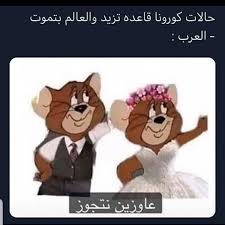اغار الصفحة الرسمية اغار aghar official instagram photos and videos funny cartoon memes funny photo memes funny picture jokes