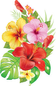 Epingle Par Marie Wieczorek Sur 12 Ans Roro Fleur Tropicale Tatouages Comment Dessiner Une Fleur Et Fleurs Tropicales