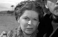 The Falcon in San Francisco