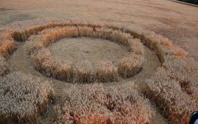 Seminário no Rio debate ¿mistério¿ dos crop circles - Ciência - iG