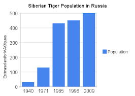 Tiger Panthera Tigris Page 2 Carnivora