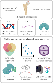 Frontiers | Identification of candidate genes and chemicals associated with  osteonecrosis of femoral head by multiomics studies and chemical-gene  interaction analysis