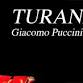 Taconic Opera - Turnadot event image