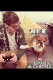 It S Always A Good Idea To Have A Friend Watch Your Back Funny Animal Memes Animal Captions Animal Memes