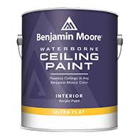 Spraying Benjamin Moore® Advanced® Paint Complete Guide