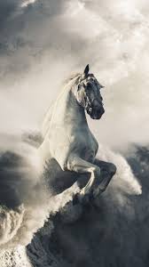 Pegasus Wallpaper Animal Wallpaper Wallpaper Hd Wallpaper