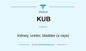 Kub Kidney Ureter Bladder X Rays By Acronymsandslang Com