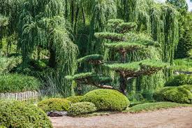 What is the significance of the rocks placed around the garden?rocks are Chicago Botanic Garden In Glencoe Where East Meets Midwest U S Japanese Gardens