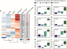 We did not find results for: A Vacuolar Hexose Transport Is Required For Xylem Development In The Inflorescence Stem Of Arabidopsis Biorxiv