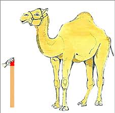 In a previous article, i discussed why apache camel is a useful tool for building small modules to perform integration independent of any of the pieces being integrated. Camel Position For Lateral Shooting With Scaled Stick Ejemplo Download Scientific Diagram