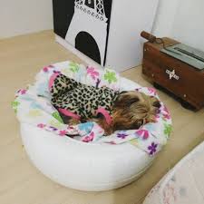 Caminha Para Cachorro Grande Passo A Passo Pin Em Camas Para Perros