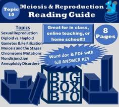 The first answer is not clear. Cell Division Reading Worksheets Teaching Resources Tpt