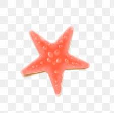 Jump to navigation jump to search. Fc Bayern Munich Images Fc Bayern Munich Transparent Png Free Download