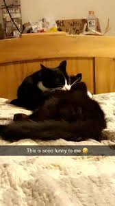 Lindsay Stacks (@lindsaystacks94)