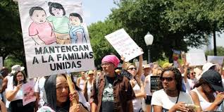 En este artículo vamos a refrescaros todo lo que hay que saber sobre la flor como parte importante de una planta, sus funciones, características, etc. Cartel Que Es Tipos Funciones Caracteristicas Y Ejemplos