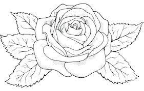 Rosen Ausmalbilder Kinder Fur Malvorlagen Rose Tattoo Ideen Rose Zeichnung Tattoo Tattoos Manner
