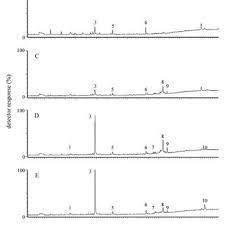 Posta kodu yükleyin , posta kodu arama araçları arama! Pdf Floral Scent Production By Petunia Hybrida