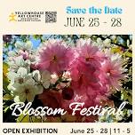 Blossom Festival