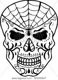 Check spelling or type a new query. Spider Web Sugar Vector Photo Free Trial Bigstock