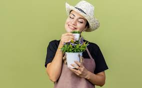 Maybe you would like to learn more about one of these? 4 Tips Kembangkan Tanaman Hias Hidroponik Okezone Lifestyle