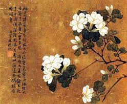 Flower Drawing Jasmine Flower Jasmine Tattoo