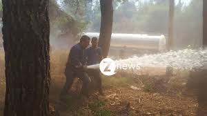 Βρες επιχειρήσεις, επαγγελματίες, δημόσιες υπηρεσίες, εφημερίες, τιμές καυσίμων, events, νέα για ροδόπολη αττικής αττικησ. Smwj000kr6gitm