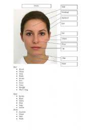 Face parts names in english | infographic. The Human Face Vocabulary Esl Worksheet By Barabulka