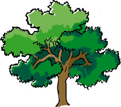 Style Guide Clker Tree Outline Picture Tree Tree Illustration