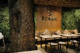 It is a clinically proven hair loss treatment that may help promote longer, thicker and healthier hair. Bonsai Zamalek Contoh Bonsai