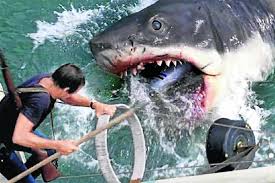 Milana Hametova Hot - 63 Porn Photo - Feel the Passion of Her Alluring Pose