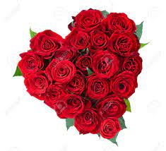 Colourful rose flower garden in full bloom. Rose Flowers Heart Over White Valentine Love Stock Photo Picture And Royalty Free Image Image 12381999