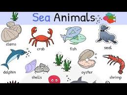 Sea Animals Water Ocean Sea Animal Names With Images 7 E S L Sea Animals Sea Animals Images Animals Name In English