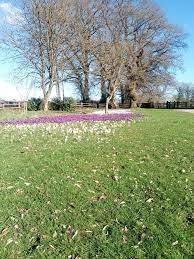 Allium Florist Stow On The Wold Facebook 417 Photos