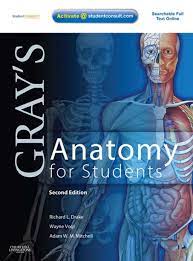 Gray S Anatomy For Students Rental Ebook Rental Greys Anatomy Book Anatomy Greys Anatomy
