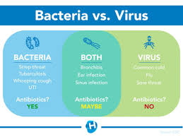 What are the differences between bacteria and animal cells. Do I Need An Antibiotic Bacterial Vs Viral Infections Healthy Me Pa Working To Improve The Health Of All Pennsylvanians