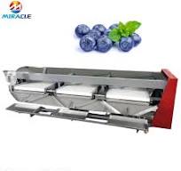 Blueberry Fruit Packing Machine for Food Granule in Pouches