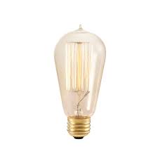 Nostalgic Edison Style 1910 Era 60 Watt Light Bulb