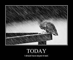 Very Demotivational Bad Day Very Demotivational Posters Start Your Day Wrong Demotivational Posters Very Demotivational Funny Pictures Funny Posters Funny Meme Cheezburger