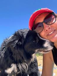 Lost dog Cheeto found in Northcrest area