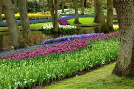When you plant tulips, you should. Spring Bulbs When Is The Best Time To Plant Garden Myths